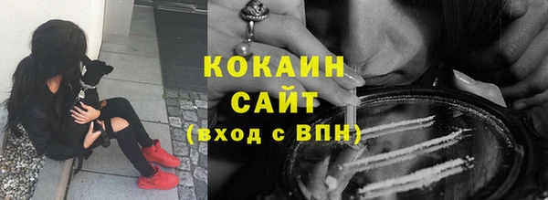 индика Аркадак