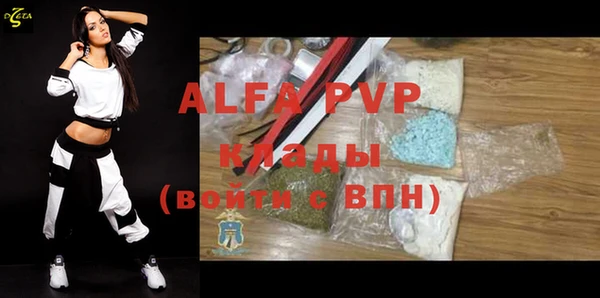 индика Аркадак