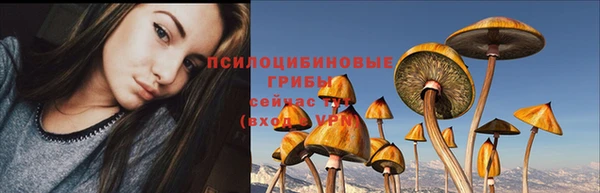 тгк Арсеньев