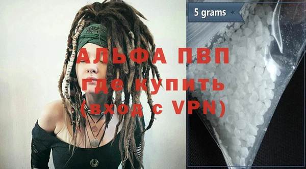 индика Аркадак