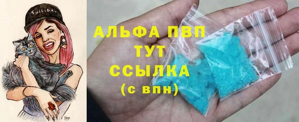 индика Аркадак
